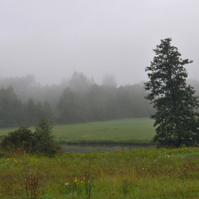Vysočina (1)