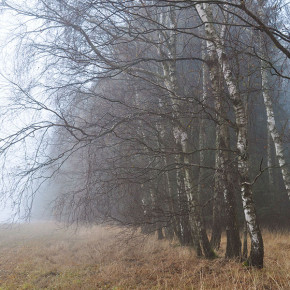 vysocina-8