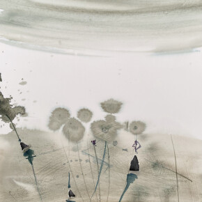 První jarní rostliny