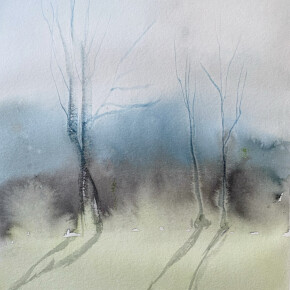 Předjaří v Pošumaví